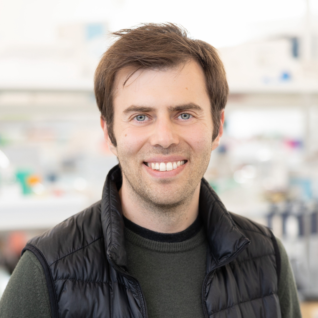 Daniel Lin-Arlow, PhD