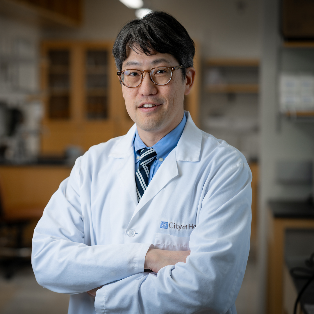 Robert Jenq, MD