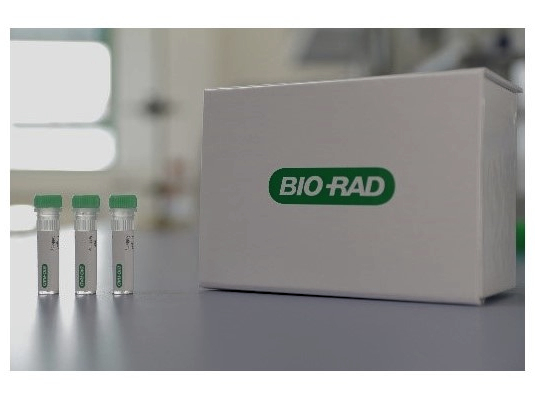 Bio-Rad Anti-pertuzumab Antibodies Image