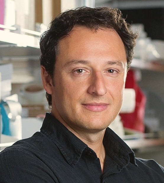 Alysson R. Muotri, PhD
Director, Stem Cell Program
Professor of Pediatrics and Cellular & Molecular Medicine
University of California, San Diego
