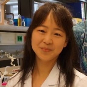 Marina Sanaki-Matsumiya, PhD
Postdoctoral Fellow
Laboratory of Synthetic Developmental Biology
European Molecular Biology Laboratory (EMBL), Barcelona
