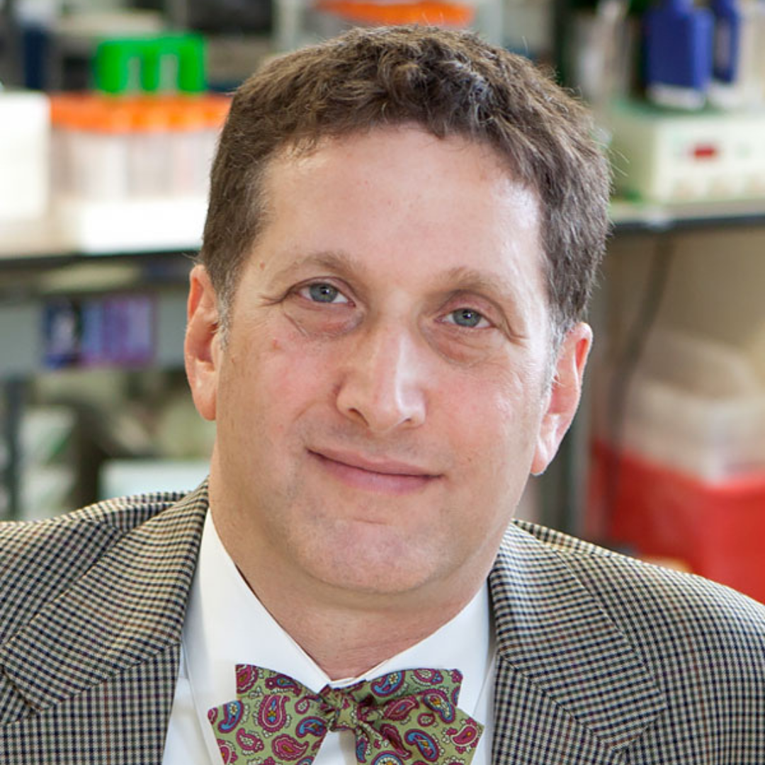 Steven Almo, PhD